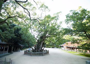 temple grounds