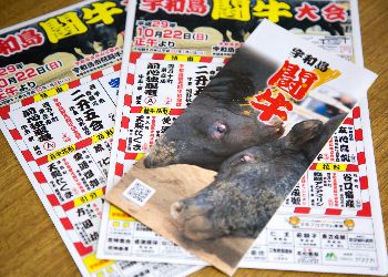 pamphlet