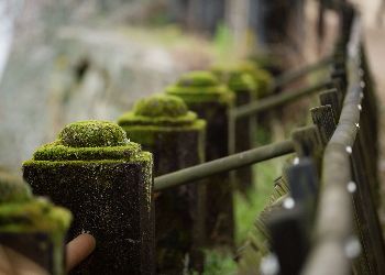 A stone fence on the pathway