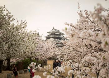 The castle grounds