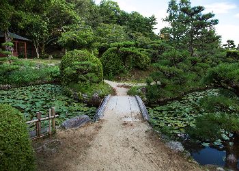 pathway