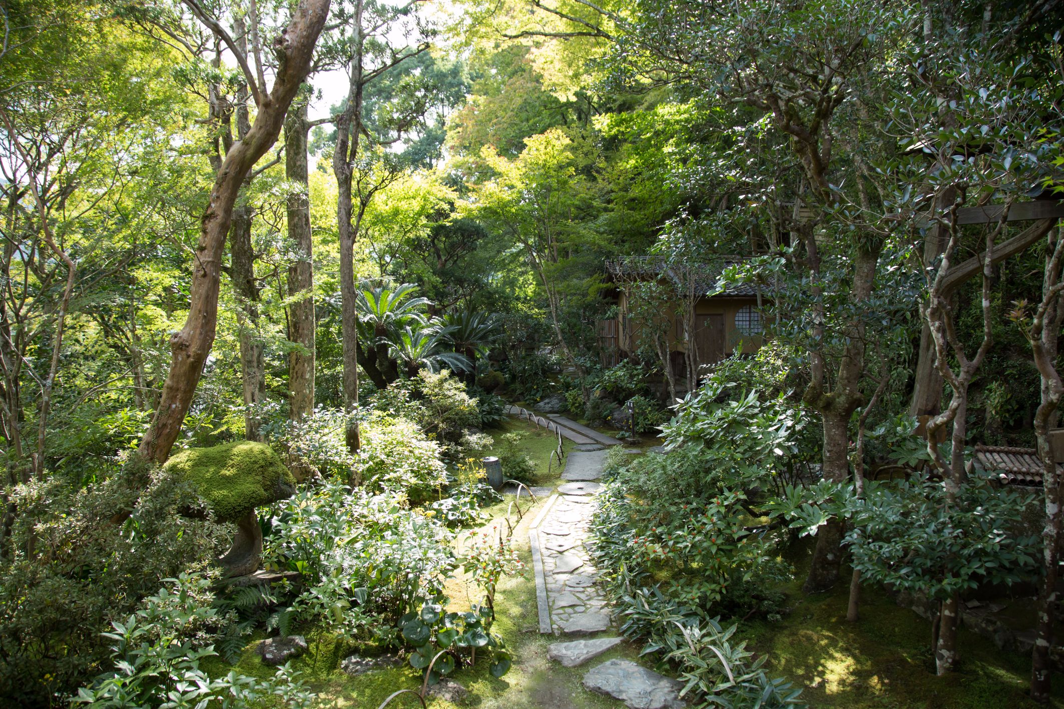 pathway