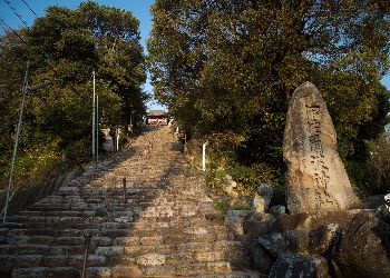 135 steps to climb