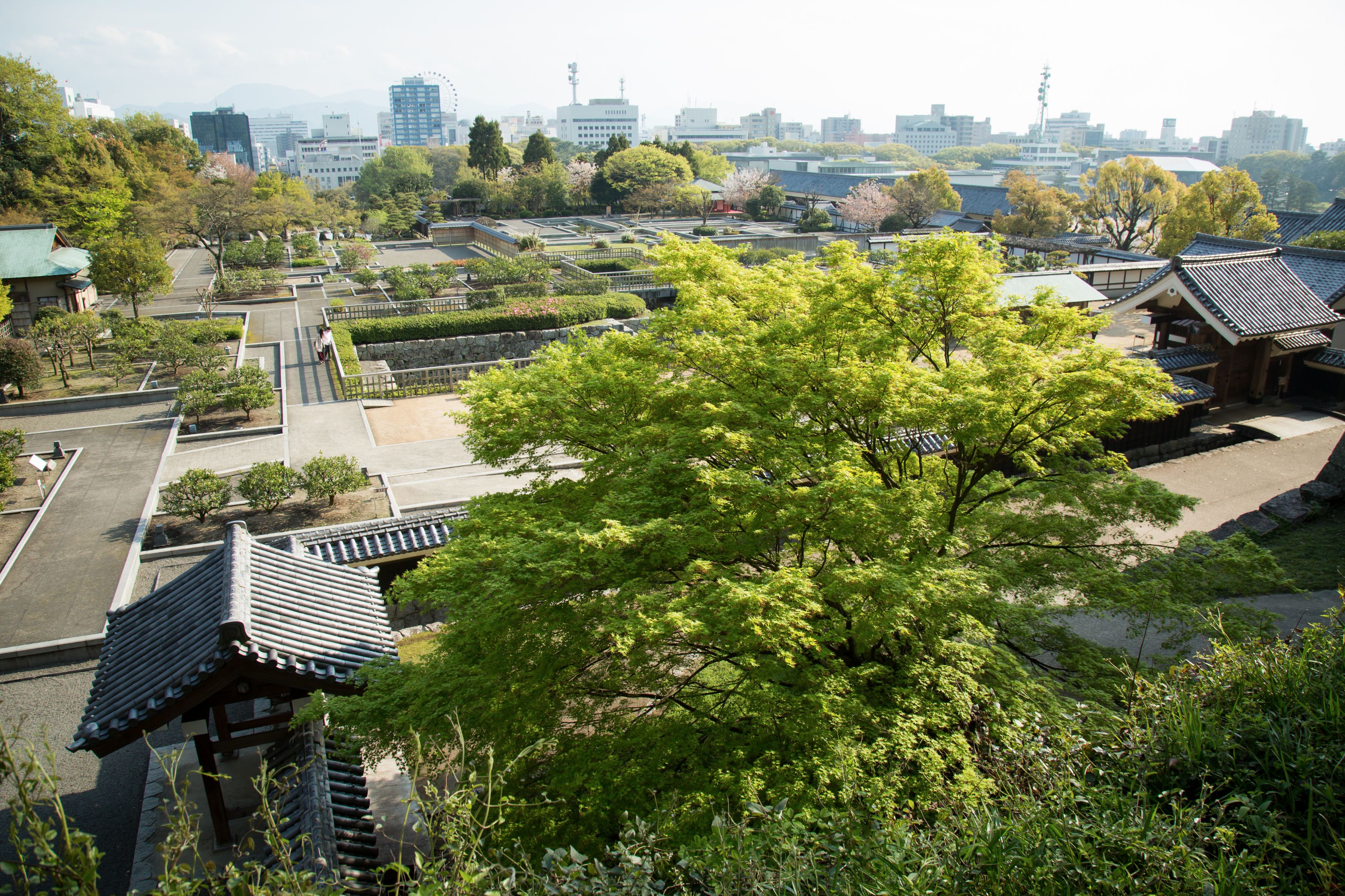 A top view of the Ninomura Garden
