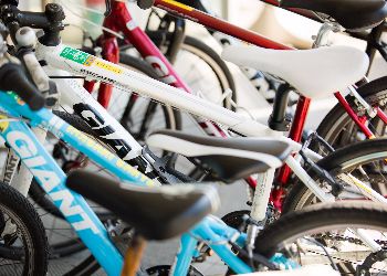 Cycle rentals