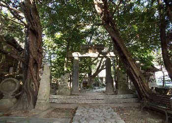 pathway