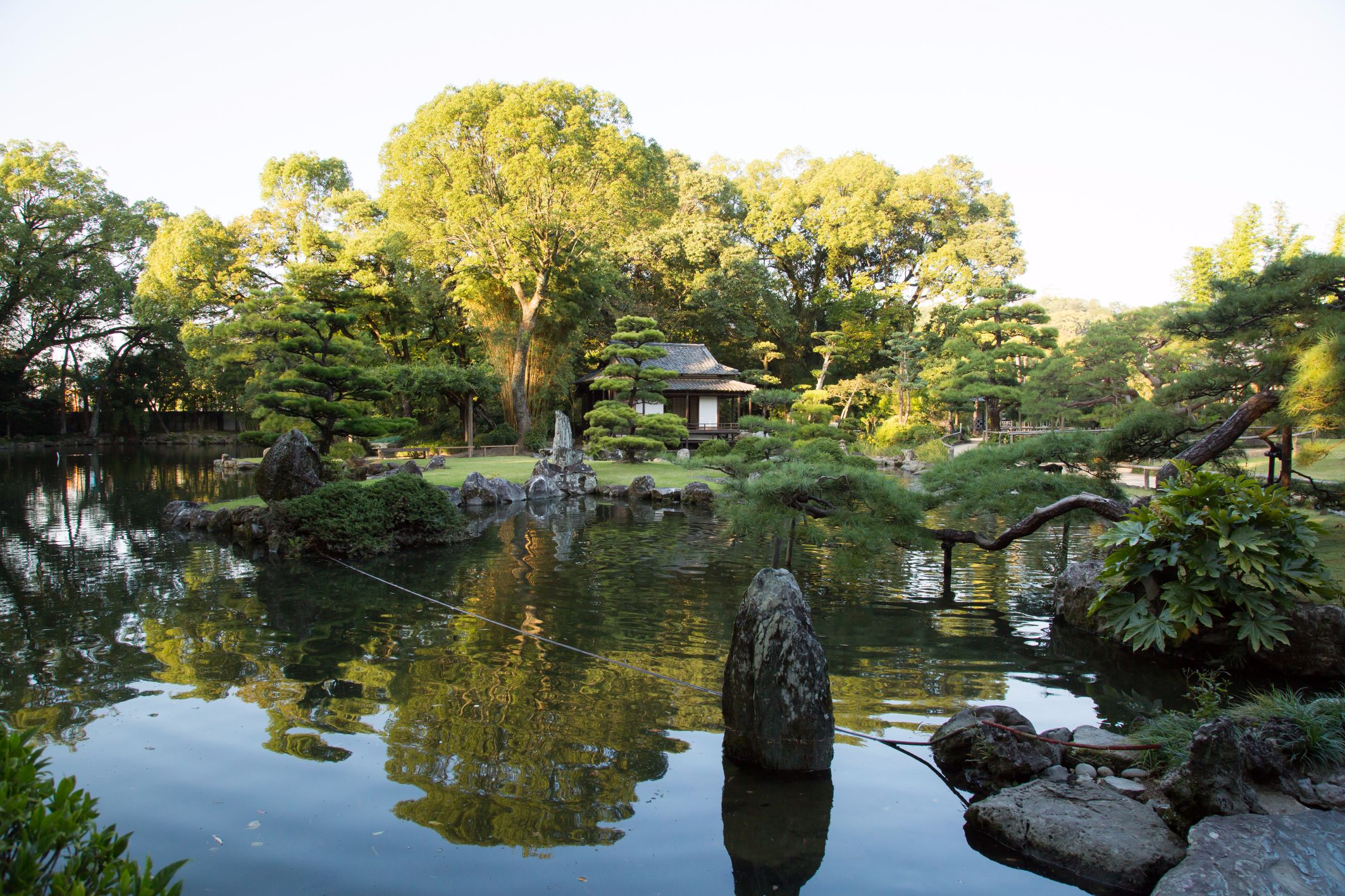 pond