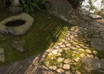 pathway